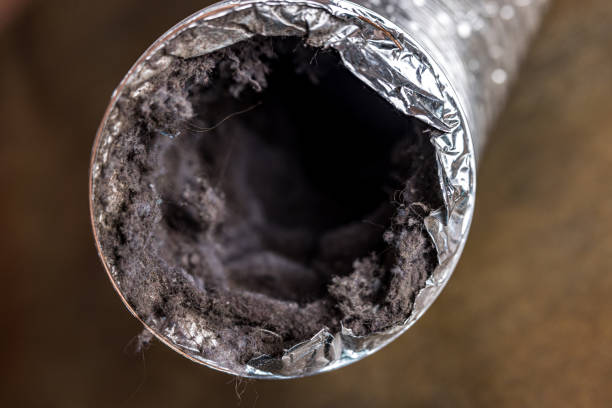 Best HVAC Duct Inspection Services  in Macom, IL